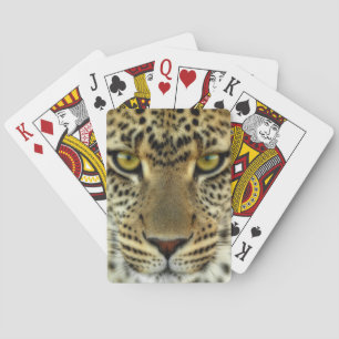 Jeu De Cartes Léopard féroce