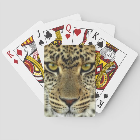 Jeu De Cartes Léopard féroce (dos)