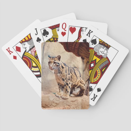 Jeu De Cartes léopard nébuleux image nature faune exotique (dos)