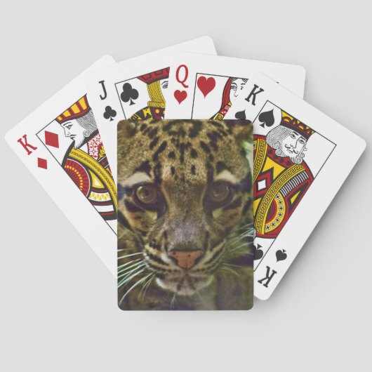 Jeu De Cartes Leopard obscurci (dos)