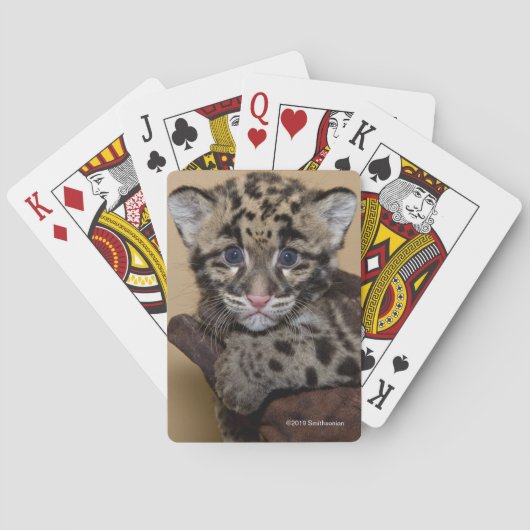 Jeu De Cartes Léopard opacifié CUB (dos)