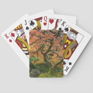 Jeu De Cartes L'Érable Dans Les Jardins Japonais En Automne
