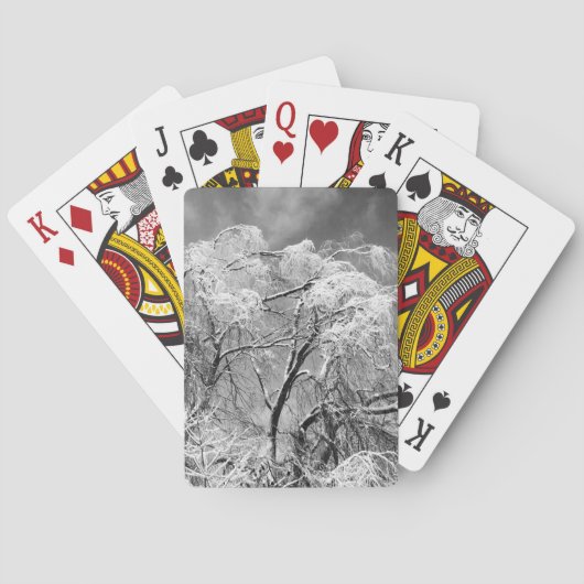 Jeu De Cartes les arbres l'hiver (dos)