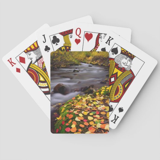 Jeu De Cartes Les couleurs d'automne le long de McGee Creek (dos)