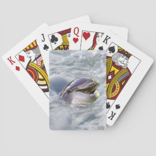 Jeu De Cartes Les dauphins sourient le mieux