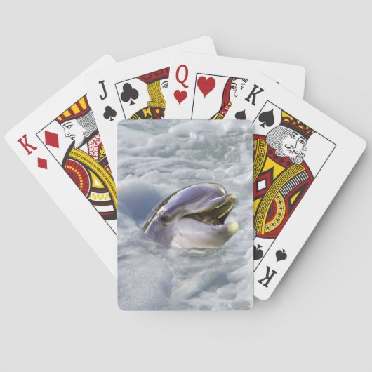 Jeu De Cartes Les dauphins sourient le mieux (dos)
