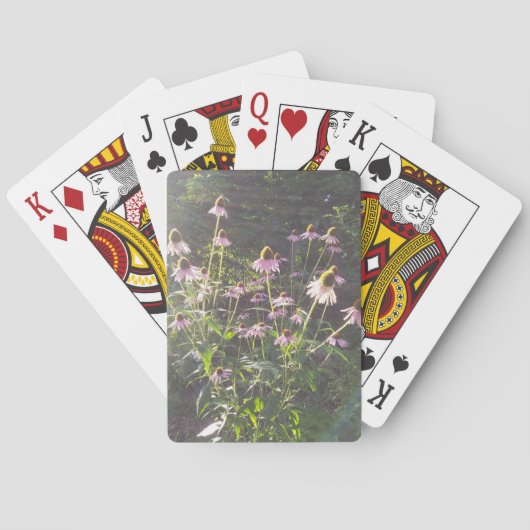 Jeu De Cartes Les fleurs d'échinacée au soleil (dos)