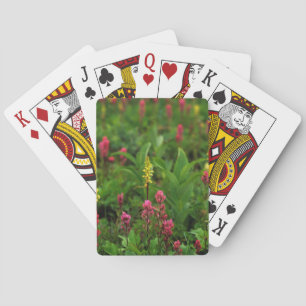 Jeu De Cartes Les Fleurs sauvages D'Été Envoient Une Émeute De C