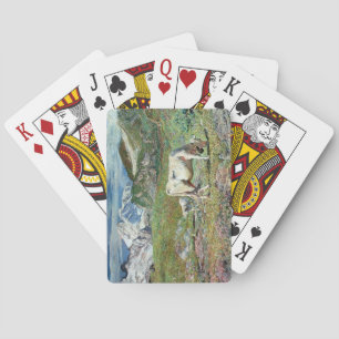 Jeu De Cartes Les prairies au printemps