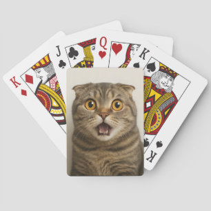 Jeu De Cartes Lesbiennes Mangent Quoi de Drôle