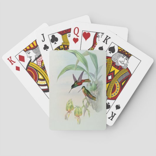 Jeu De Cartes L'étoile de Bonaparte a affronté le colibri (dos)
