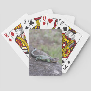 Jeu De Cartes Lézard