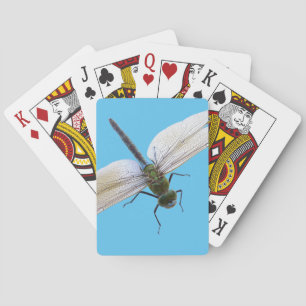 Jeu De Cartes libellule