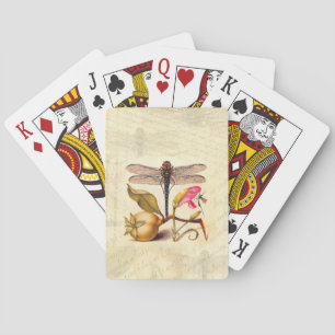 Jeu De Cartes Libellule Botanique Nature Faune Hoefnagel Art