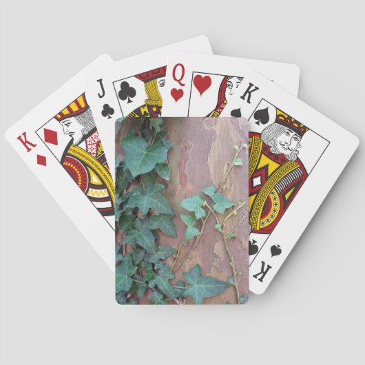 Jeu De Cartes lierre sur arbre (dos)