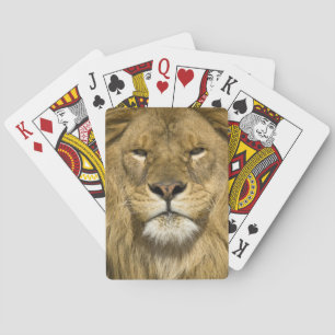 Jeu De Cartes Lion barbare africain, Panthera leo leo, l'un des