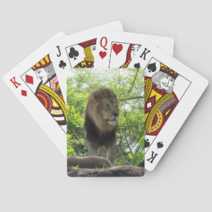 Jeu De Cartes Lion - Bicyclettes de jeu