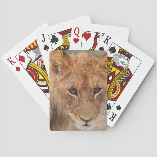 Jeu De Cartes Lion Cub (dos)