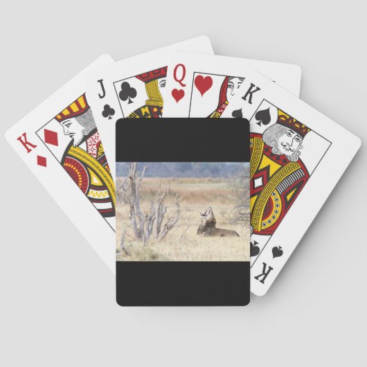 Jeu De Cartes Lion de Yawning (dos)