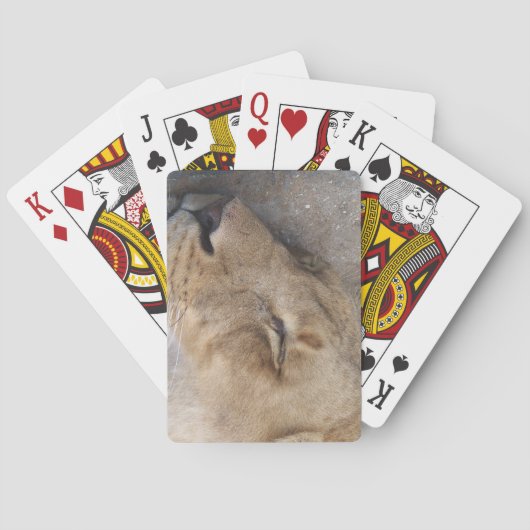 Jeu De Cartes Lion endormie (dos)
