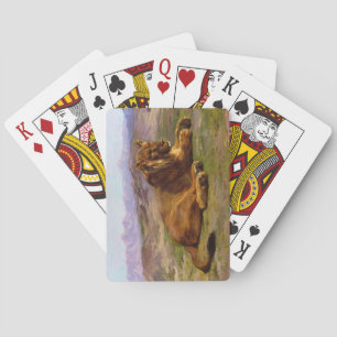Jeu De Cartes Lion sauvage dans le Masai Mara
