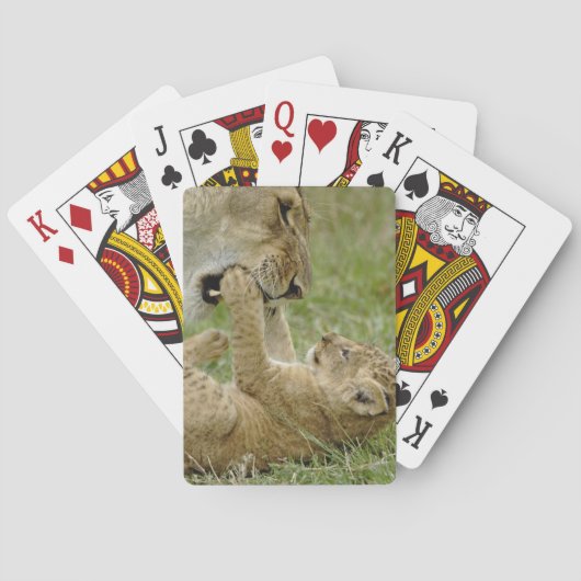 Jeu De Cartes Lionceau Jouant (dos)