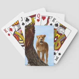Jeu De Cartes Lionne