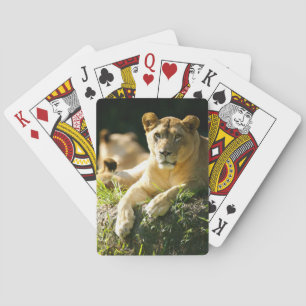 Jeu De Cartes Lions