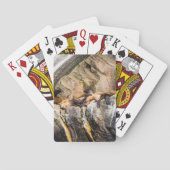 Jeu De Cartes Lions De Mer Posés Sur Les Rochers (dos)