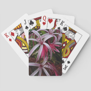 Jeu De Cartes Lis Crinum pourpre de la reine Emma