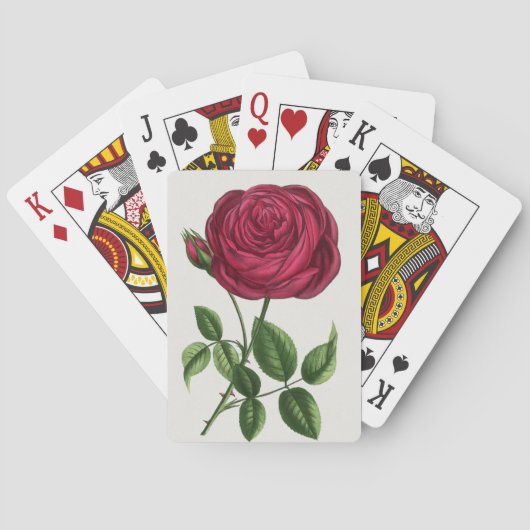 Jeu De Cartes Lithographie de rose antique, François-Frédéric Gr (dos)
