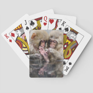 Jeu De Cartes Little Monkeys Hot Springs, Japan
