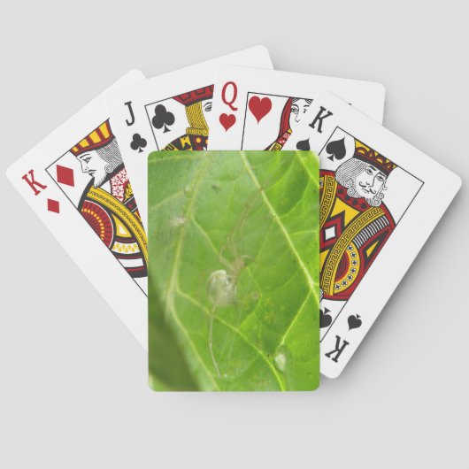 Jeu De Cartes Little Spider Jouer aux cartes (dos)