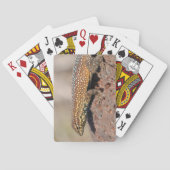 Jeu De Cartes Lizard (dos)