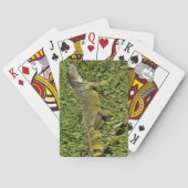 Jeu De Cartes Lizard d'Iguana vert en herbe (dos)