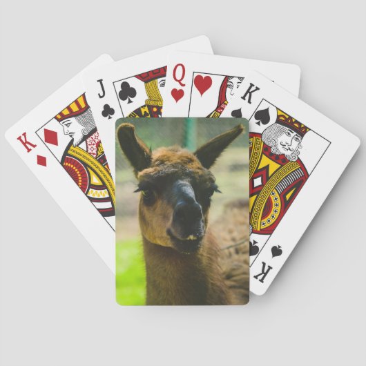 Jeu De Cartes Llama (dos)