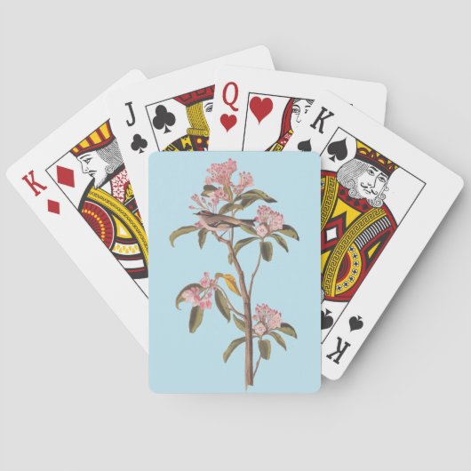 Jeu De Cartes L'Oiseau de couvier d'Audubon sur Calico Rose (dos)