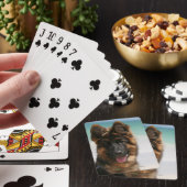 Jeu De Cartes Long Haired German Shepherd Beach (In Situ)