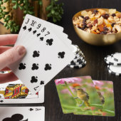 Jeu De Cartes Loriot de Baltimore (In Situ)