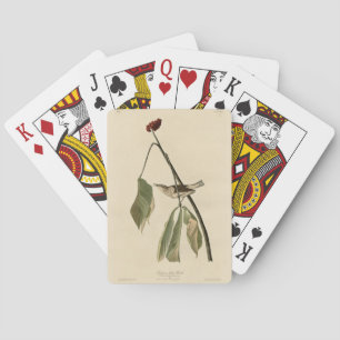 Jeu De Cartes Louisiana Water Thrush, Audubon's Birds of America