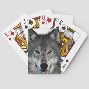 Jeu De Cartes Loup gris