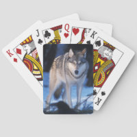 loup gris, Canis lupus, dans les contreforts