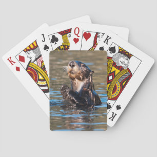 Jeu De Cartes Loutre de mer ensoleillée