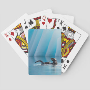 Jeu De Cartes Loutre de mer espiègle