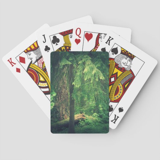 Jeu De Cartes Lumière de la forêt (dos)