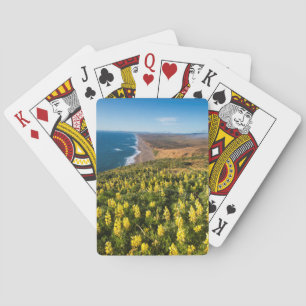 Jeu De Cartes Lupin jaune au-dessus de la plage de Point Reyes à