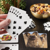Jeu De Cartes Lycaon d'Afrique (In Situ)