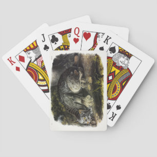 Jeu De Cartes Lynx du Canada (Lynx Canadensis) (Lynx du Canada)