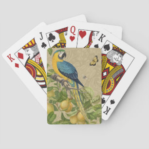 Jeu De Cartes Macaw Blue Jaune Tropical Jungle Antique