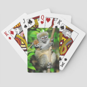 Jeu De Cartes Madagascar, Andasibe, Ile Aux Lemuriens, Mère